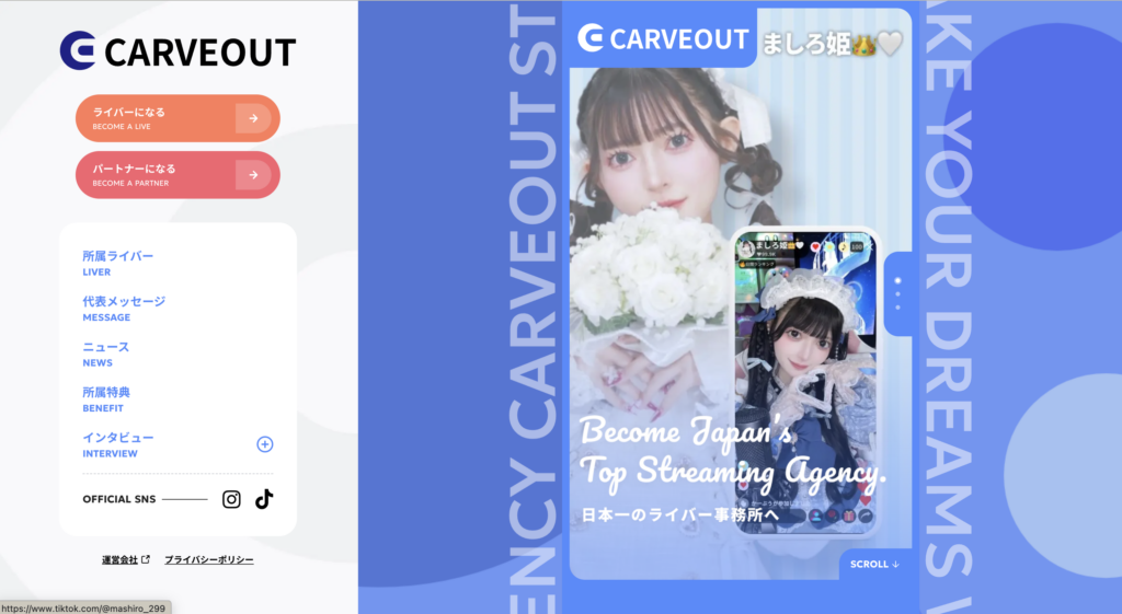 CARVEOUT（カーブアウト）